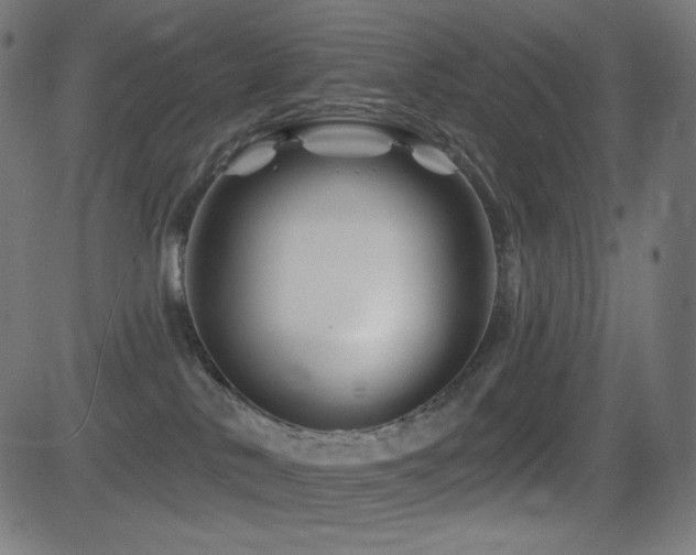 X0000081440042200701121217