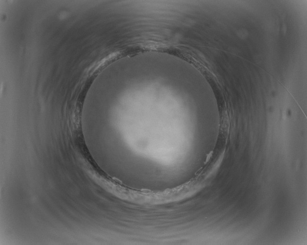 X0000081440043200701121217