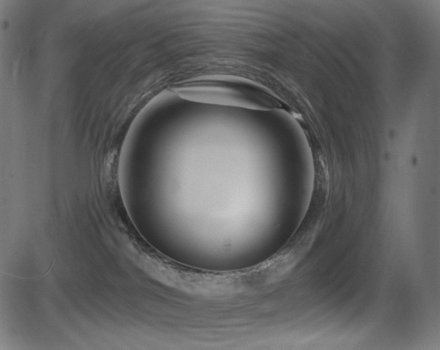 X0000081440044200701121217