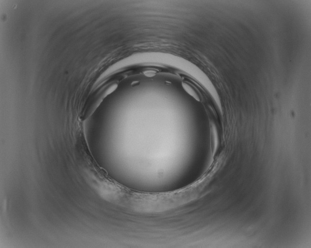 X0000081440045200701121217