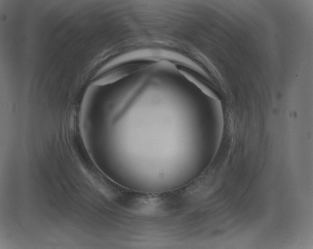 X0000081440071200701121216