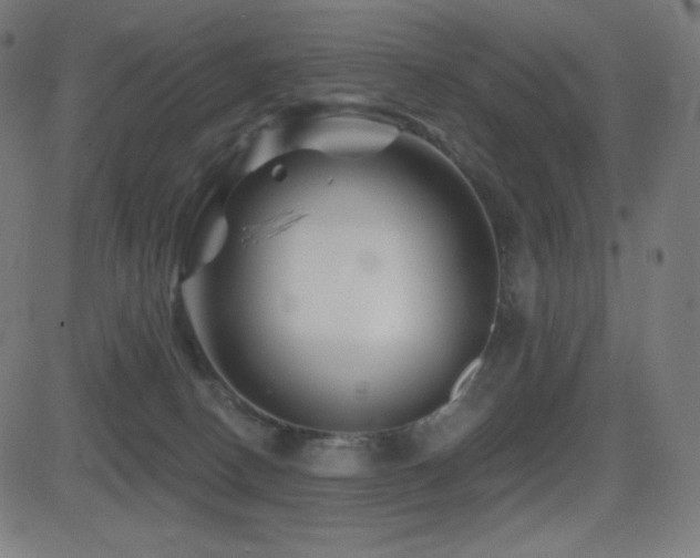 X0000081440082200701121217