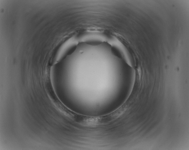 X0000081440084200701121217