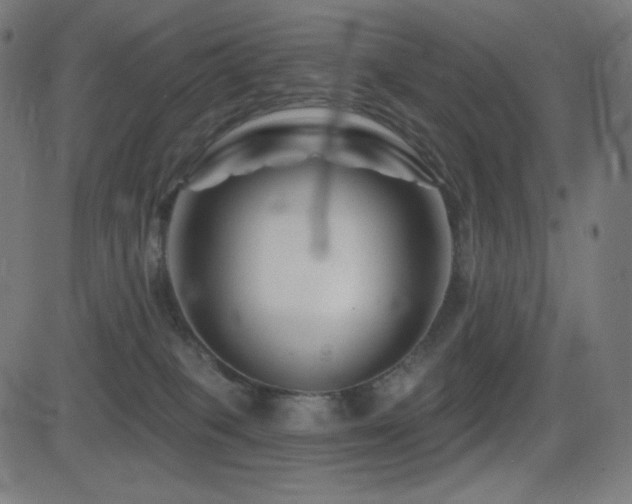 X0000081440085200701121217