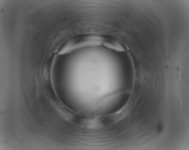 X0000081440086200701121217
