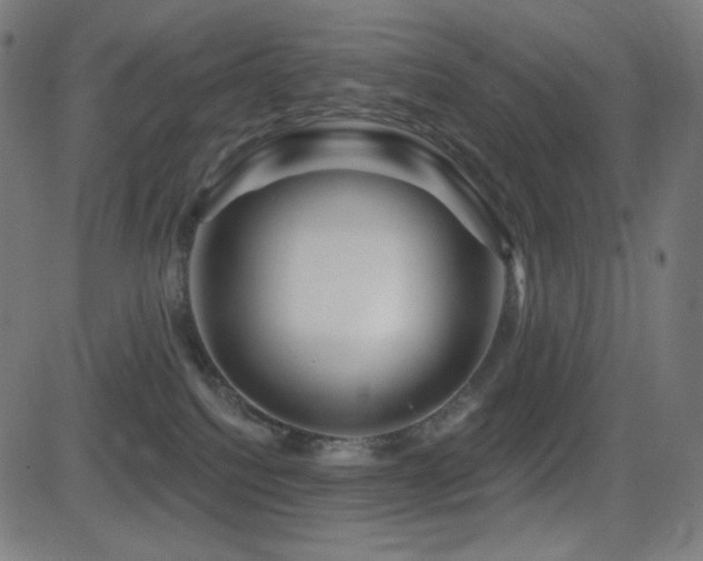 X0000081440088200701121217