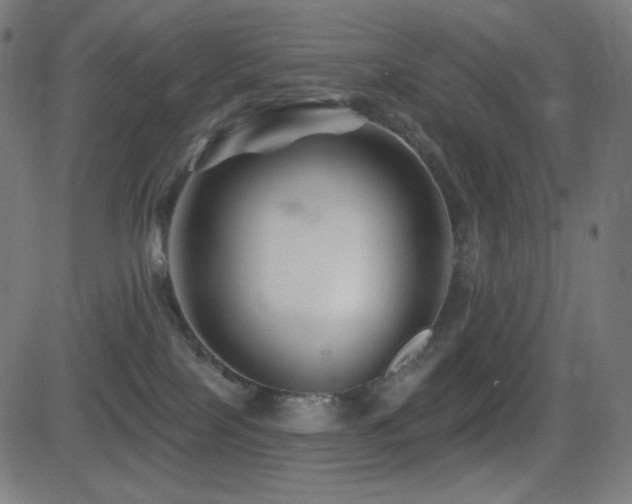 X0000081440089200701121217