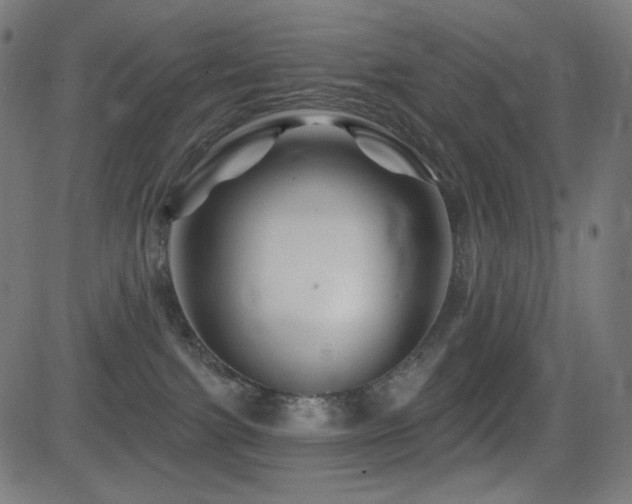 X0000081440091200701121217