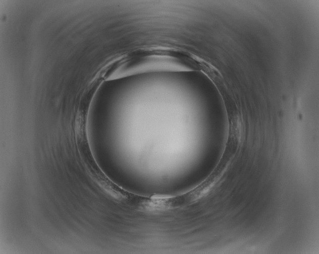 X0000081440092200701121217