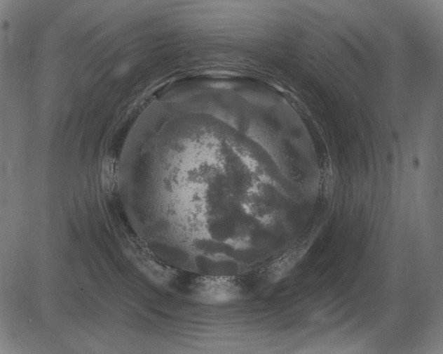 X0000081440093200701121217