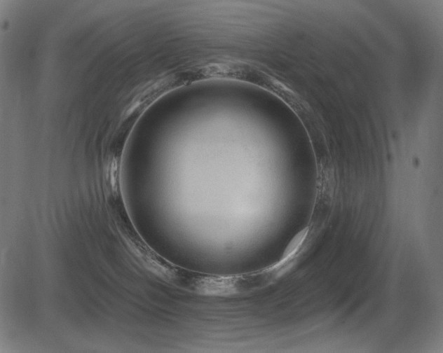 X0000081440094200701121217