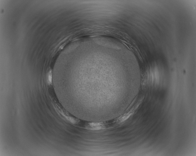 X0000081440095200701121217