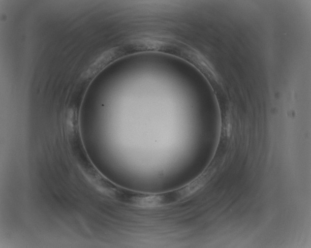 X0000081440122200701121216