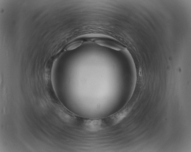 X0000081440135200701121215