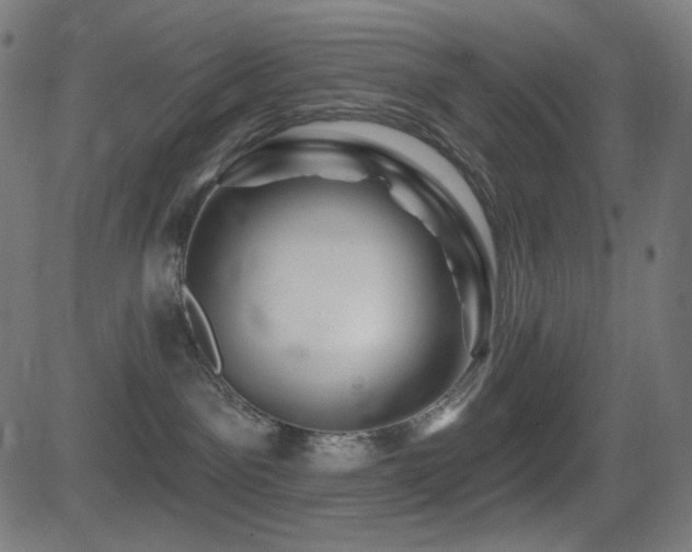 X0000081440141200701121215