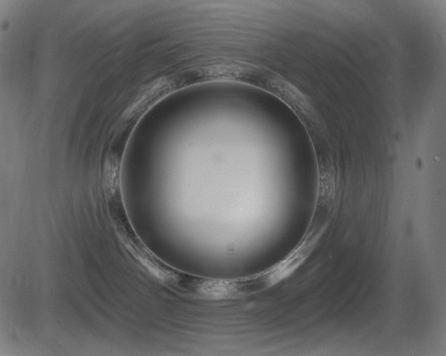 X0000081440142200701121215
