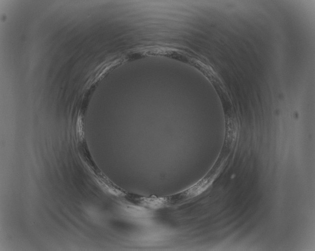 X0000081440143200701121215