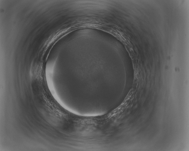 X0000081440146200701121215