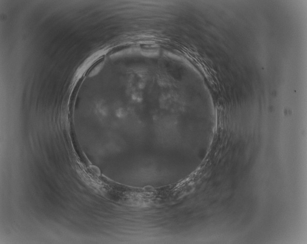 X0000081440147200701121215