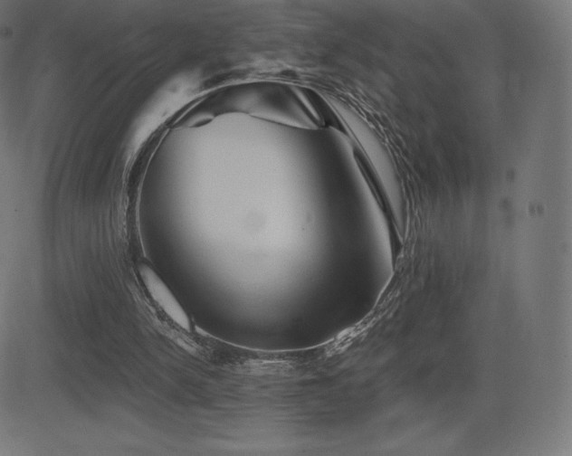 X0000081440150200701121215