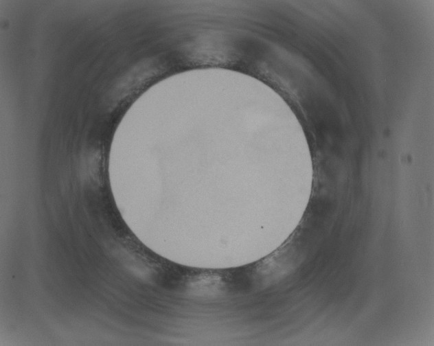 X0000081440162200701121215