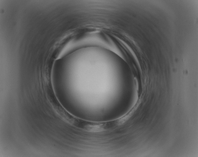 X0000081440170200701121215