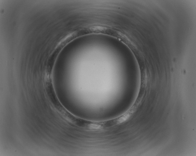 X0000081440176200701121215