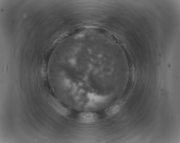 X0000081440181200701121215