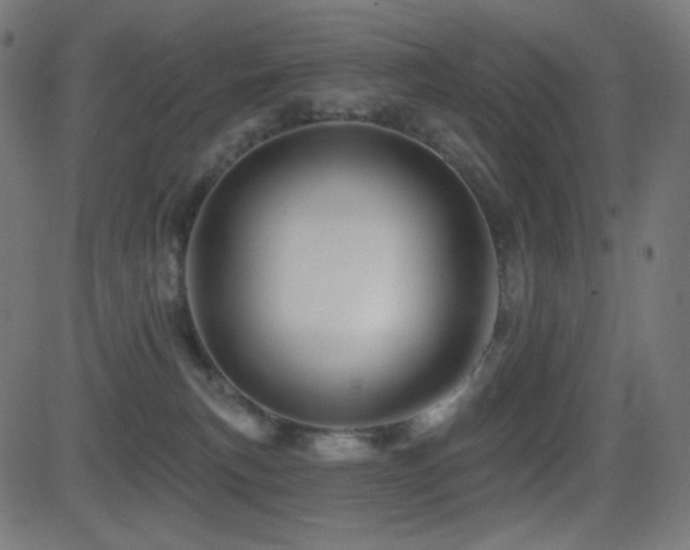 X0000081440183200701121215