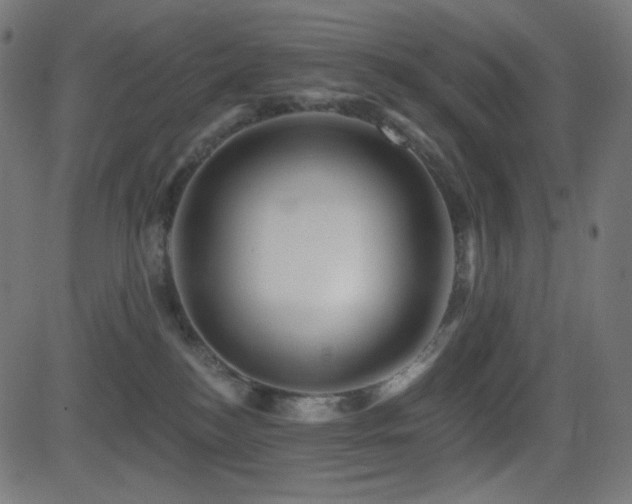 X0000081440184200701121215