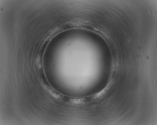 X0000081440187200701121215