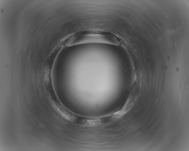 X0000081440188200701121215