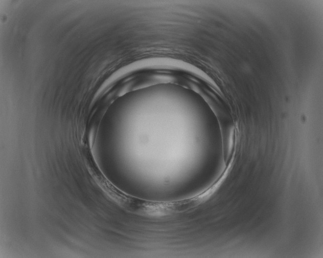 X0000081440190200701121215