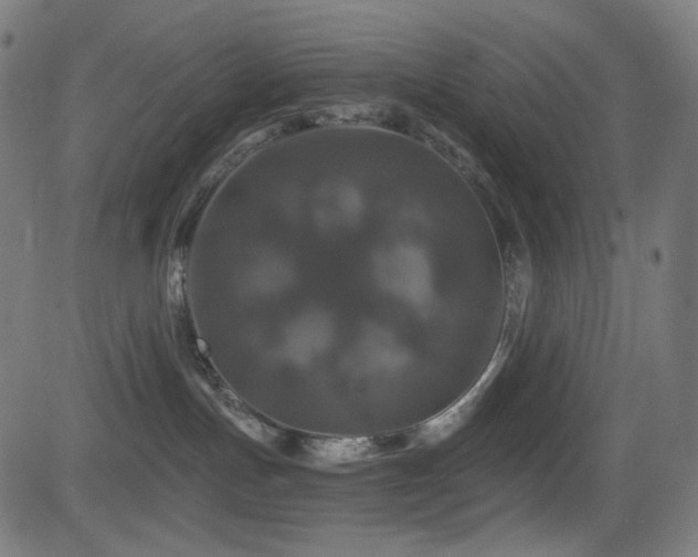 X0000081440191200701121215