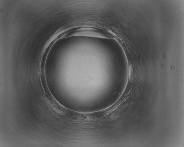 X0000081440195200701121214