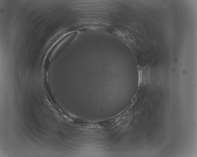 X0000081440243200701121213
