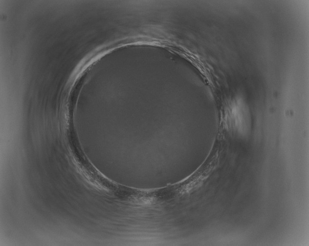 X0000081440247200701121213