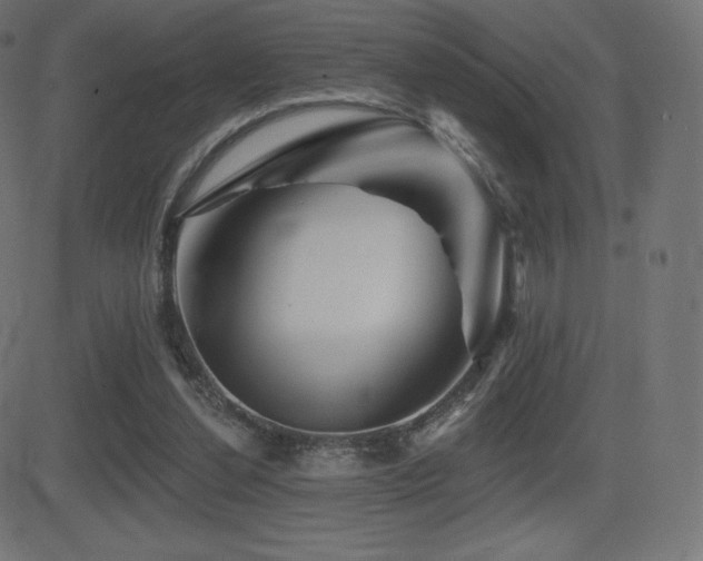 X0000081440252200701121213