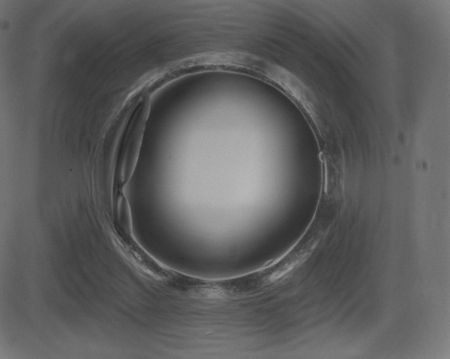 X0000081440253200701121213
