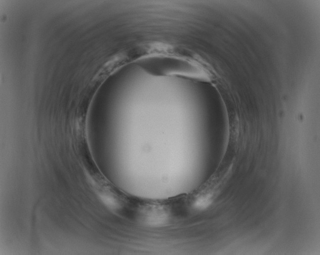 X0000081440276200701121213