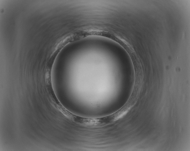 X0000081440288200701121214