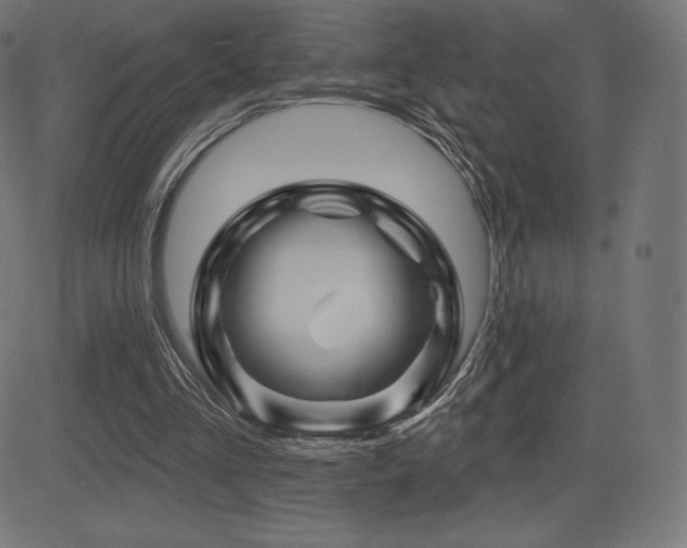 X0000081440293200701121213