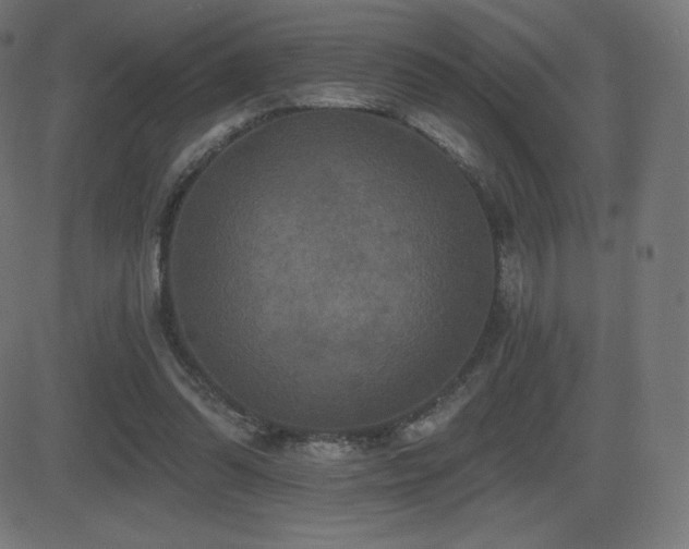X0000081440302200701121213