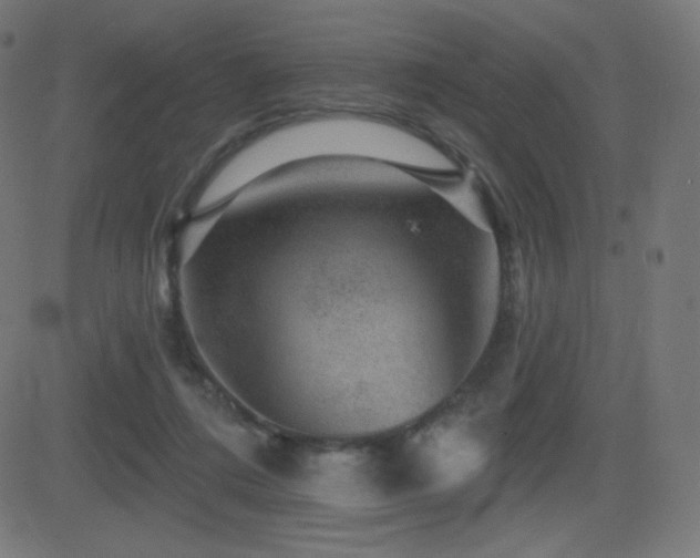 X0000081440312200701121213