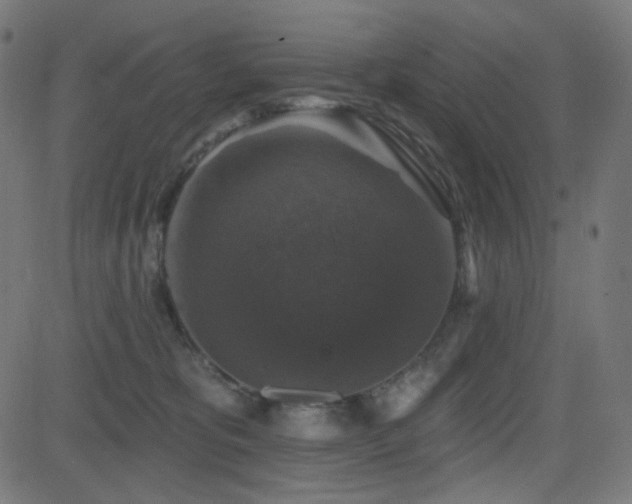 X0000081440325200701121212