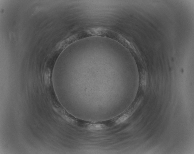 X0000081440332200701121212
