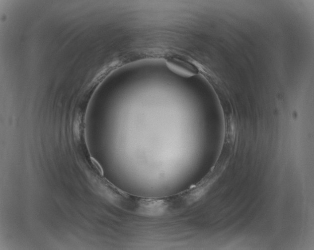 X0000081440334200701121212