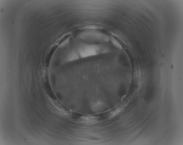 X0000081440367200701121212