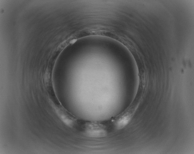 X0000081440372200701121212