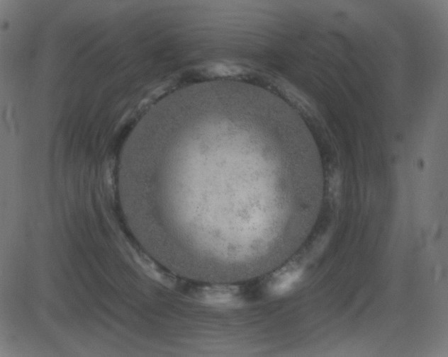 X0000081440373200701121212